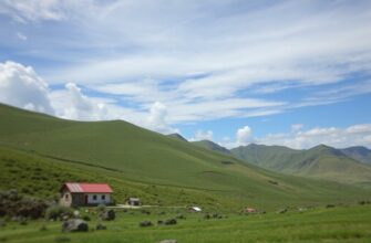 Проблемы с воспроизведением WebM с AV1, HDR, альфа‑каналом и метаданными: решение