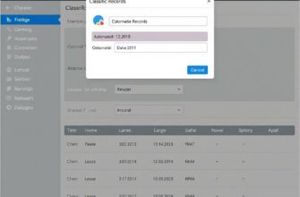 Как настроить автоматическую классификацию записей по дате и каналу: практическое руководство для повседневной работы