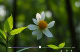 Проблемы с воспроизведением 3GP с высоким битрейтом и AAC: решение