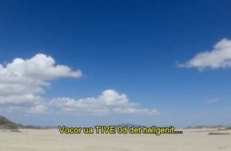 Проблемы с воспроизведением AVI с AC3 и субтитрами: решение